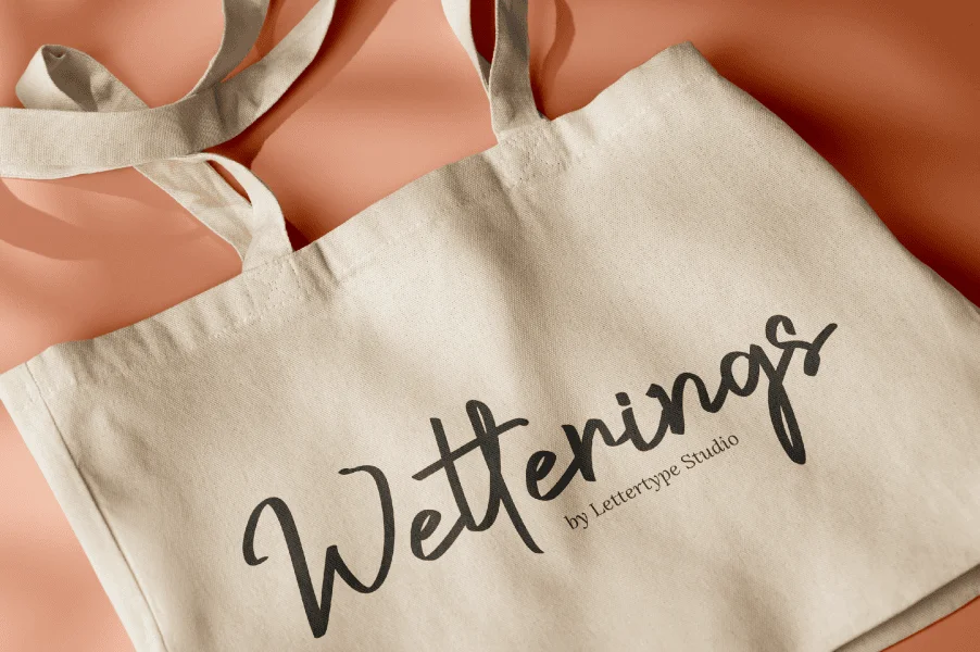 Crustaceans Signature DEMO Font preview 9