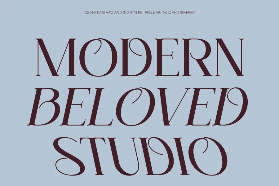 CS Anetia Demo Font preview 5