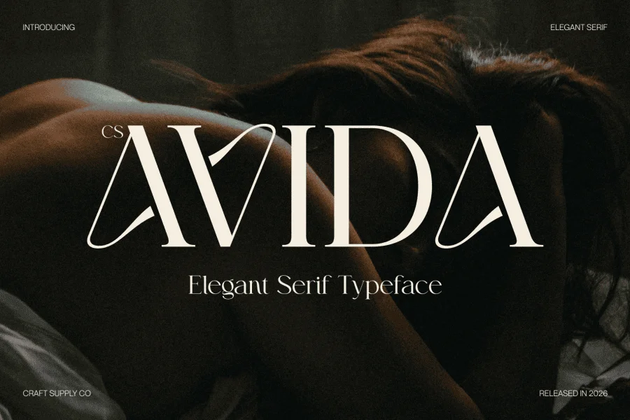 CS Avida Demo Font