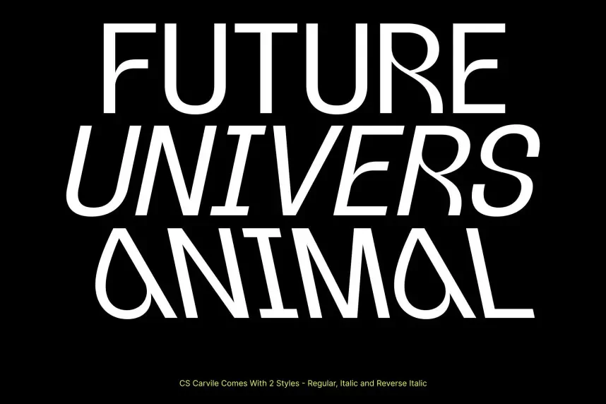 CS Carvile Font preview 3