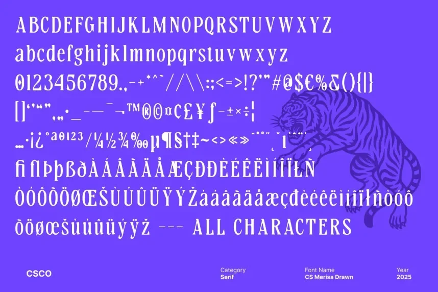 CS Merisa Drawn Font preview 6