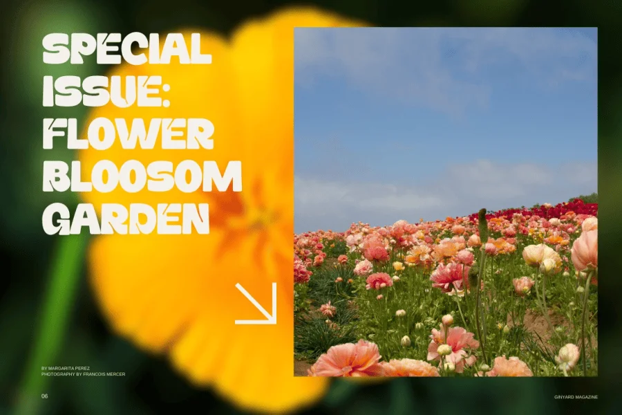 Daffiys Font preview 11