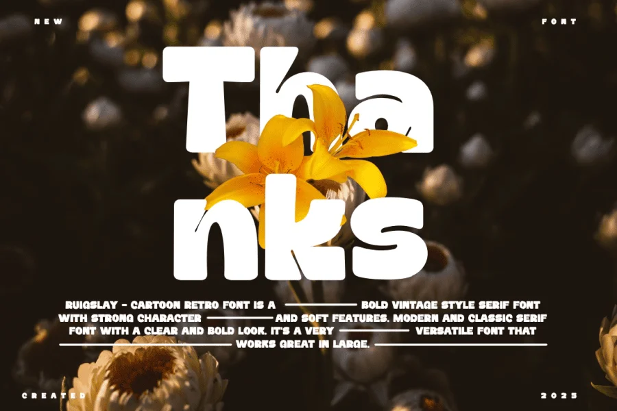 Daffiys Font preview 12