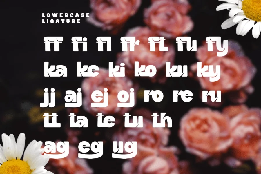 Daffiys Font preview 4