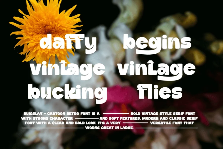 Daffiys Font preview 5