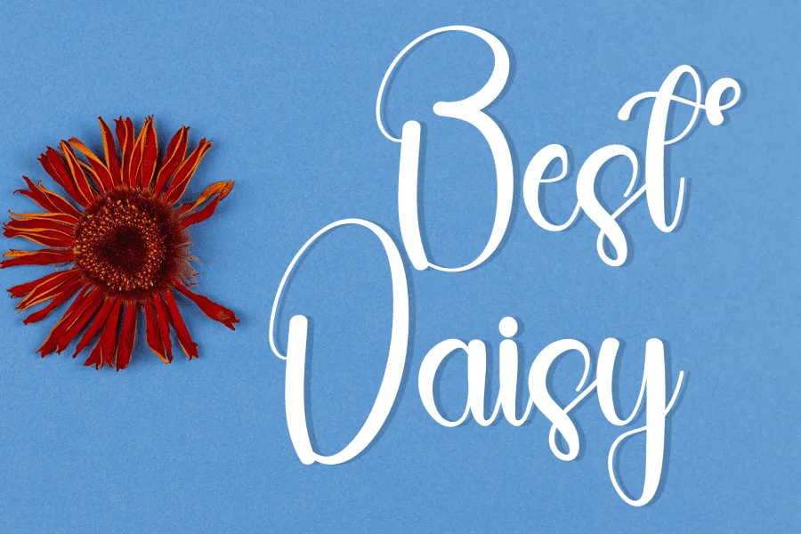 Daily Calm Font preview 4