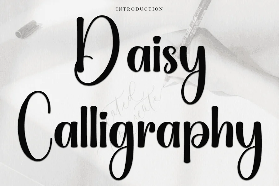 Daisy Calligraphy Font
