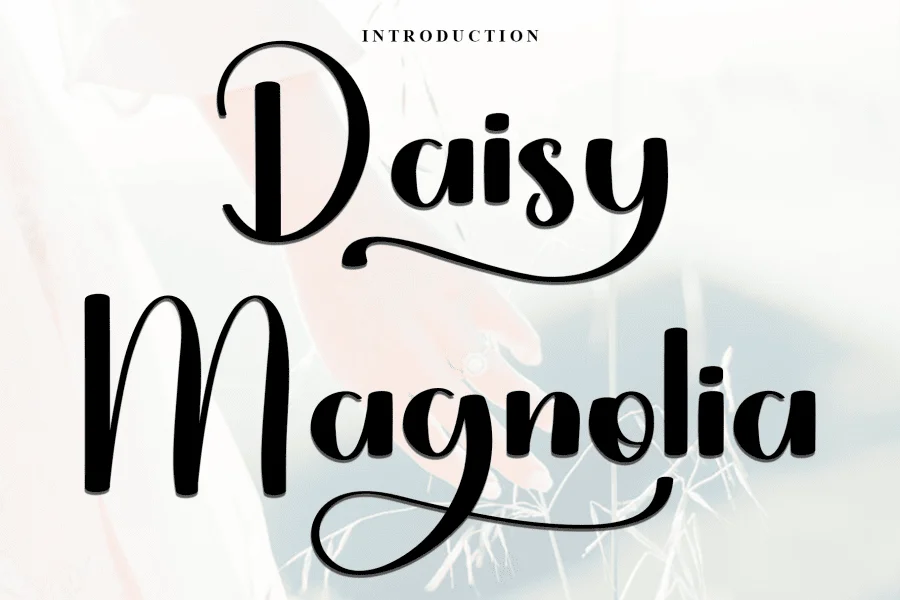 Daisy Magnolia Font