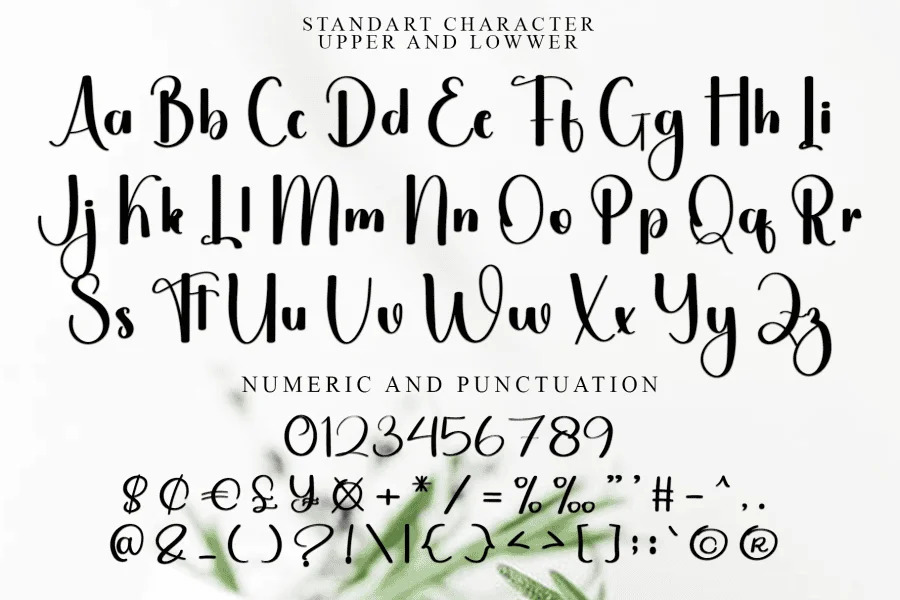 Daisy Magnolia Font preview 5