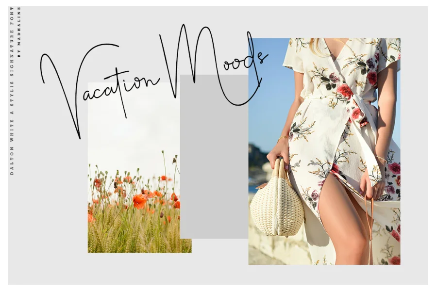 Dalton White Font preview 5