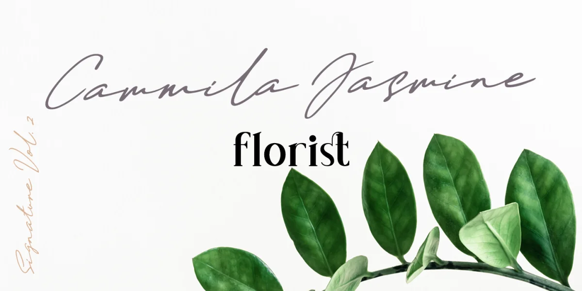 Daniels Signature Font preview 7