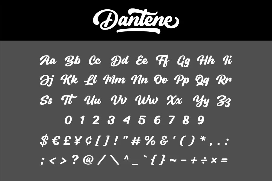 Dantene Font preview 11