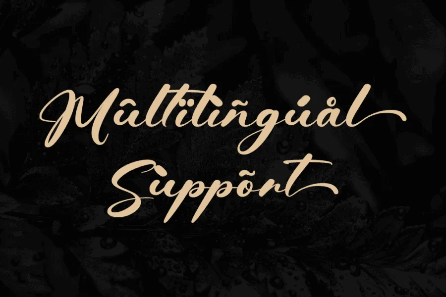 Dealyo - Personal use Font preview 11
