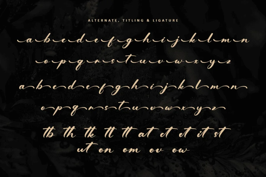 Dealyo - Personal use Font preview 13
