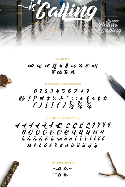 decalled script Font preview 6