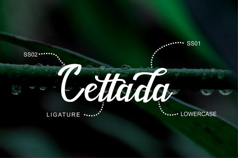 Dekade Font preview 10