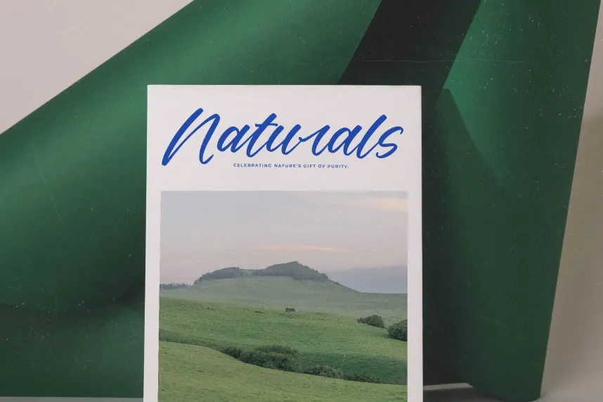 Delighta – Modern Handwritten Font preview 6