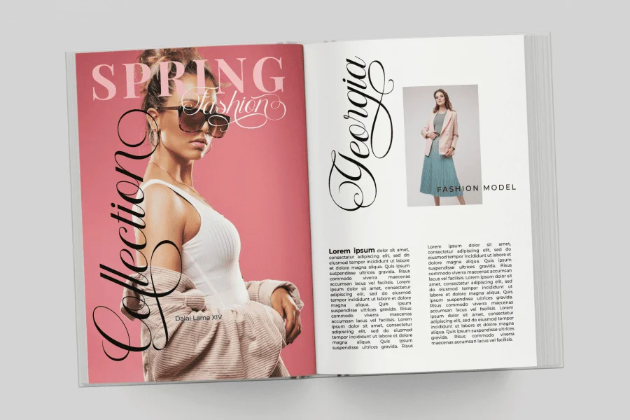Delphia Village Font preview 11