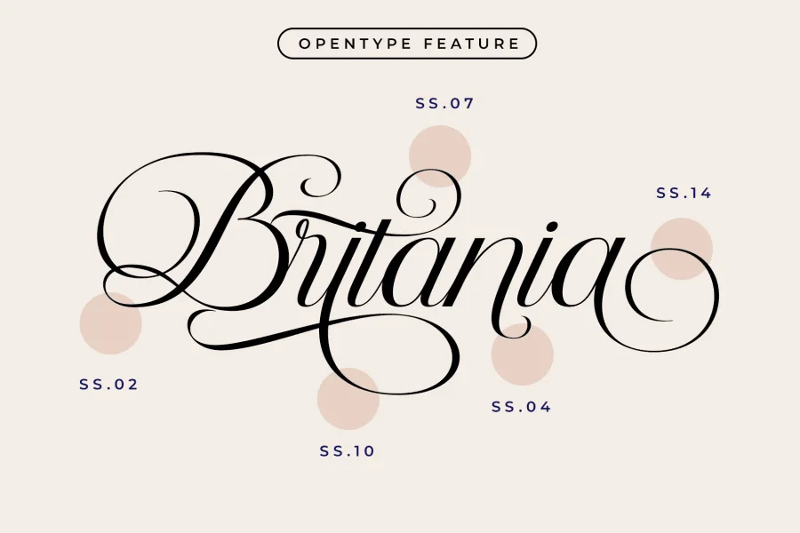 Delphia Village Font preview 14