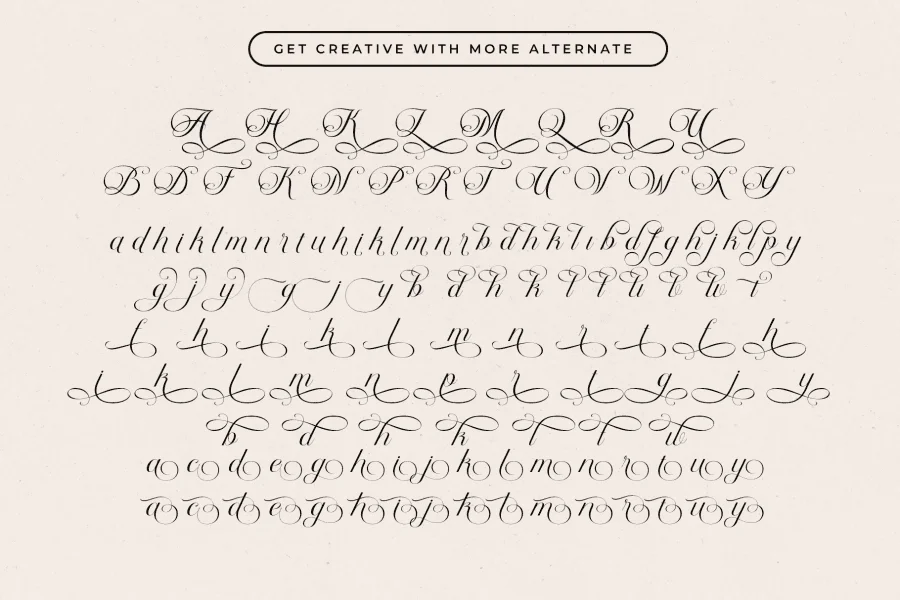Delphia Village Font preview 15