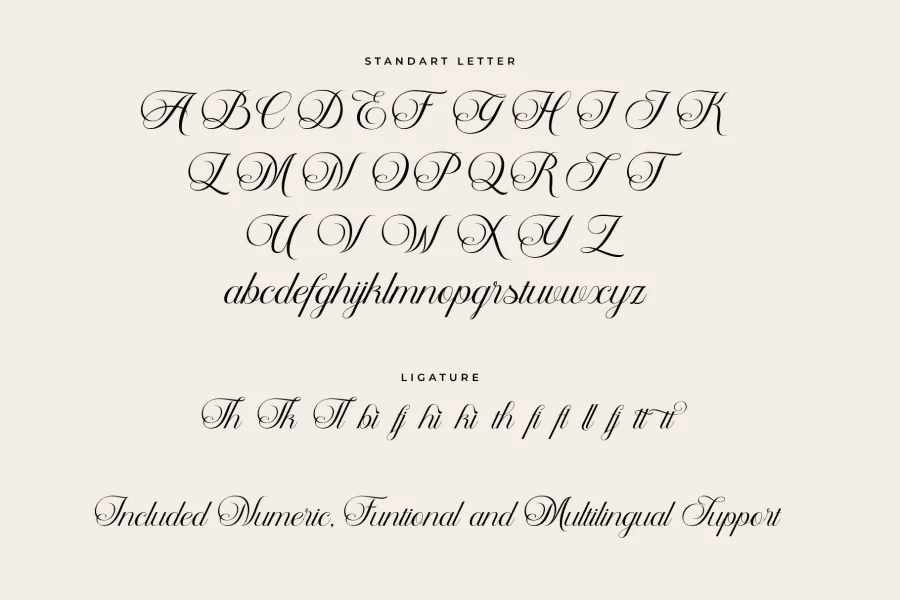 Delphia Village Font preview 16