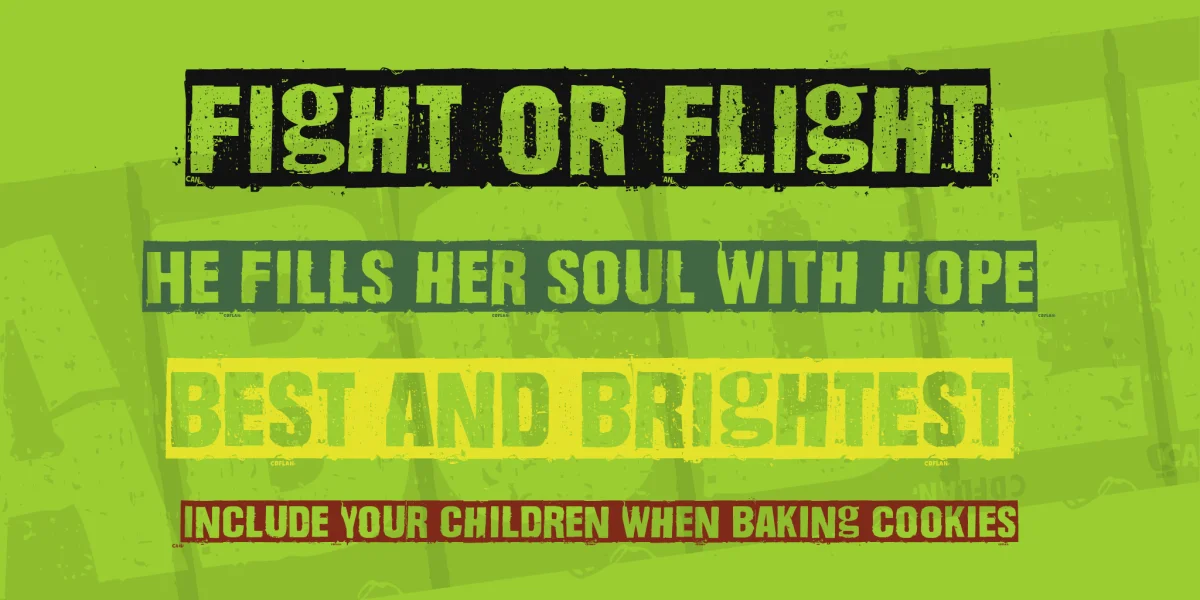 Dharma Punk Font Family preview 2