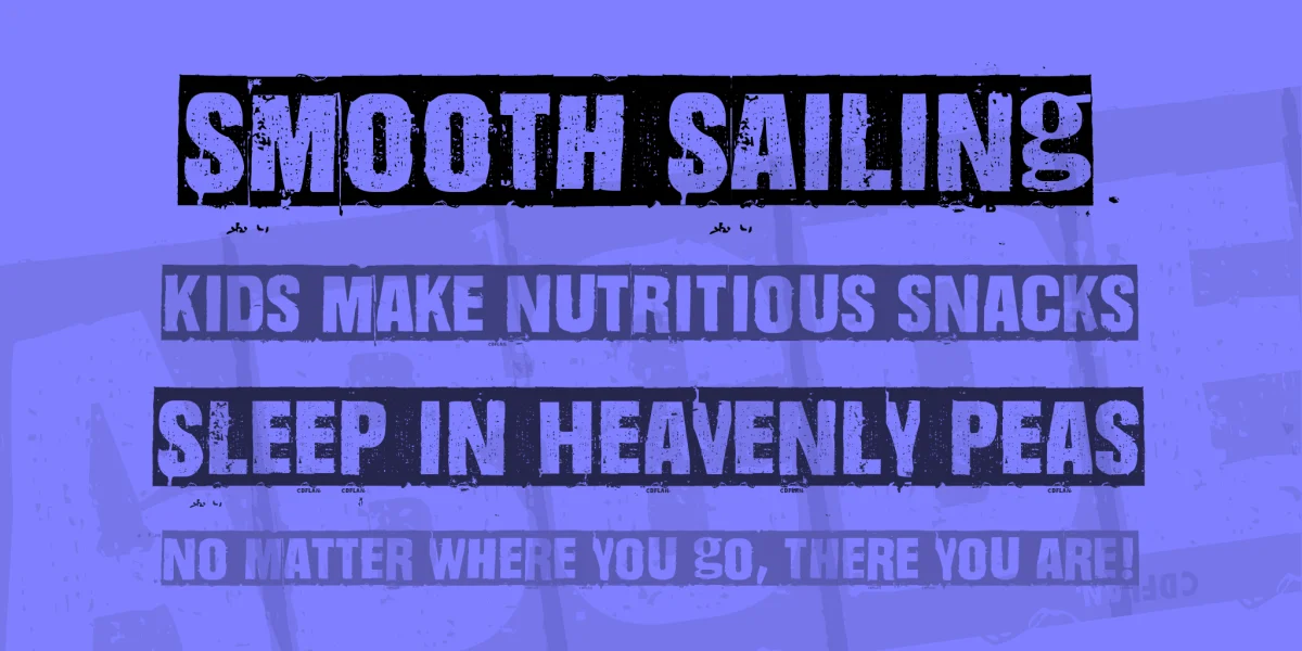 Dharma Punk Font Family preview 9
