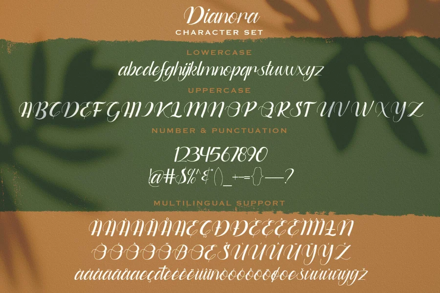 Dianora Font preview 14