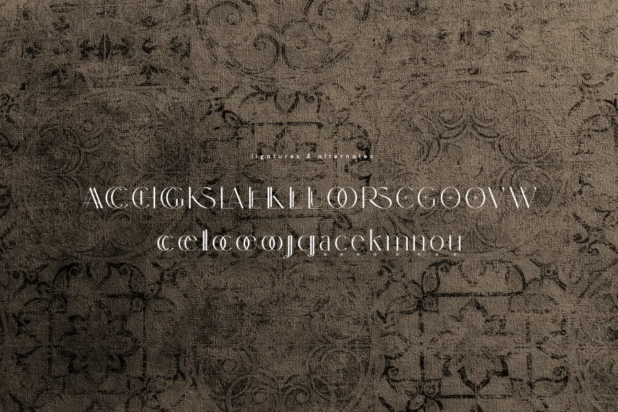 Dolce Gargia Font preview 2