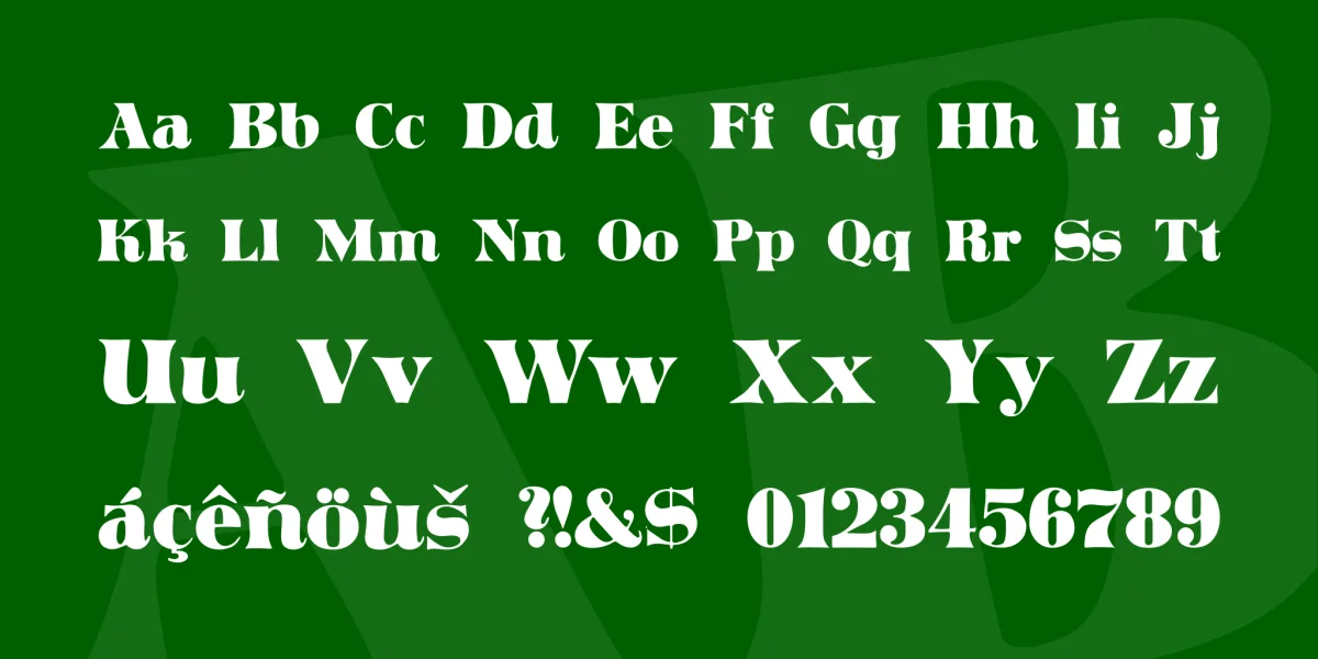 Domino Font Family preview 3