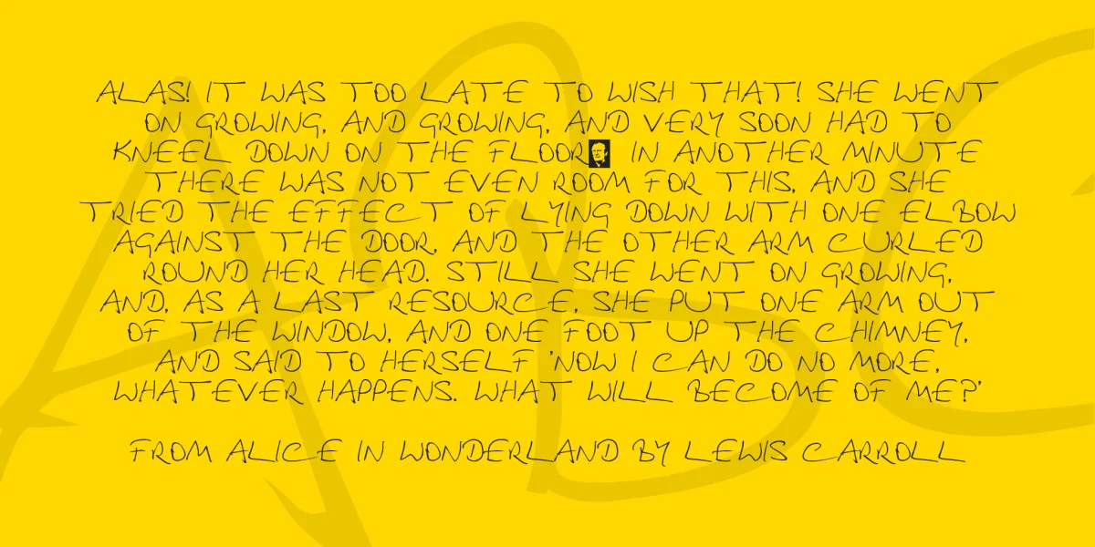 Douglas Adams Hand Font preview 3