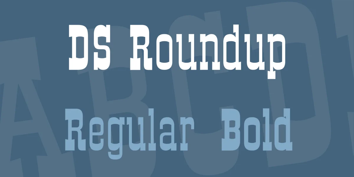 DS Roundup Font Family