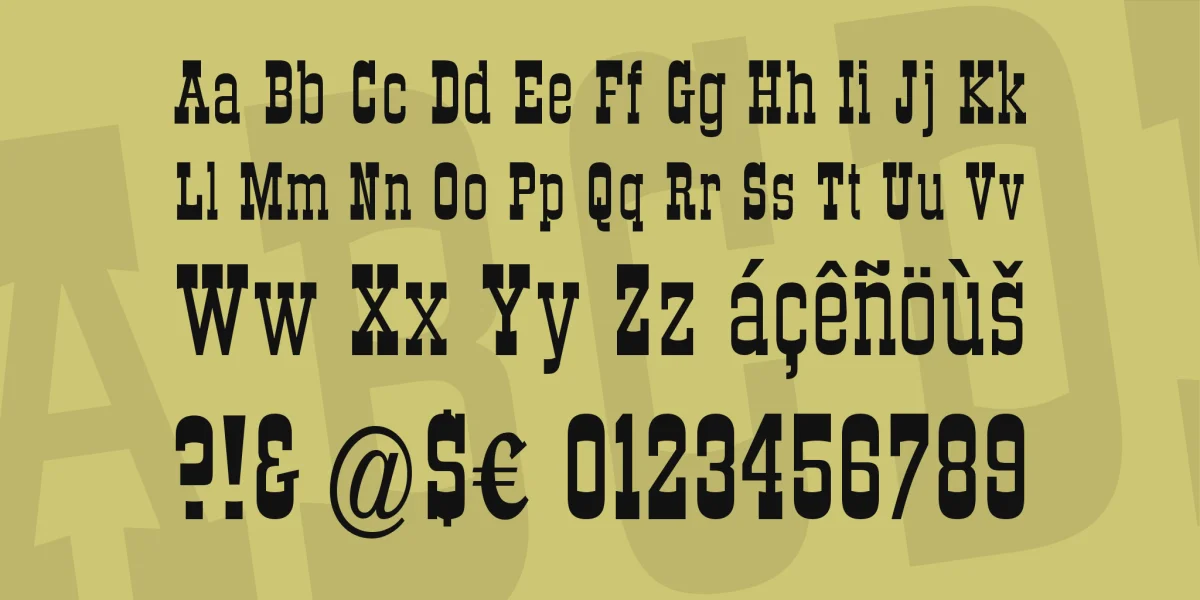 DS Roundup Font Family preview 3