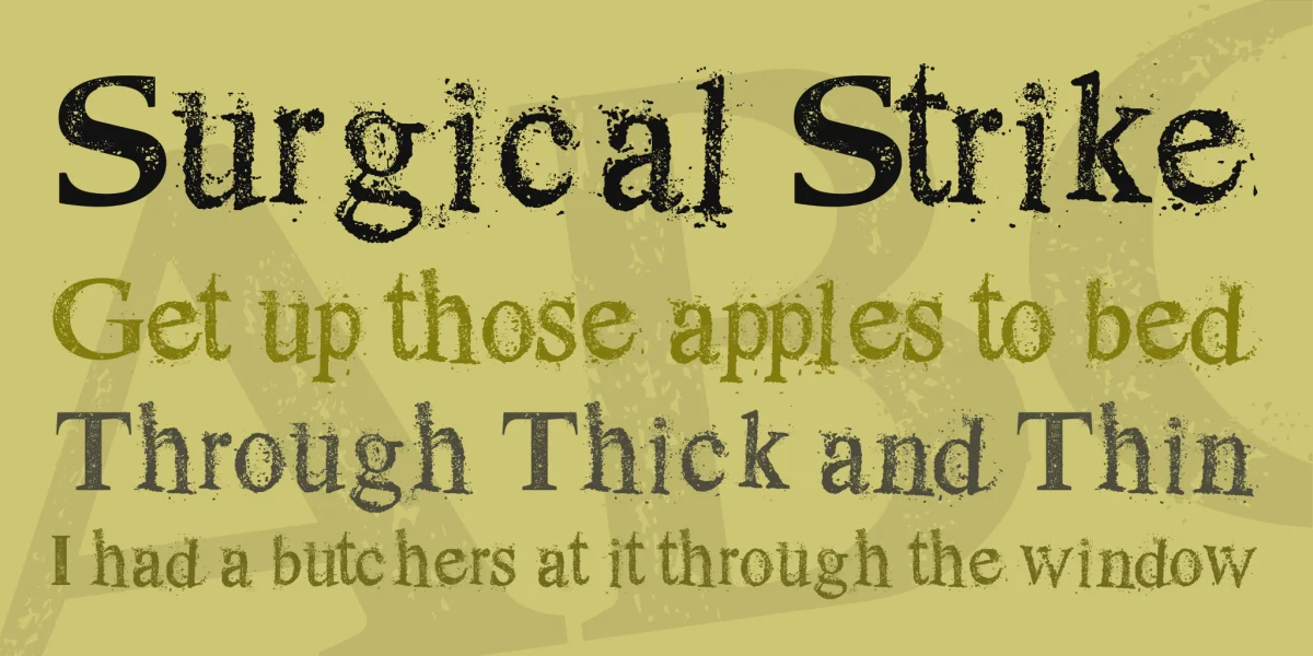 Dust Serif Font preview 2