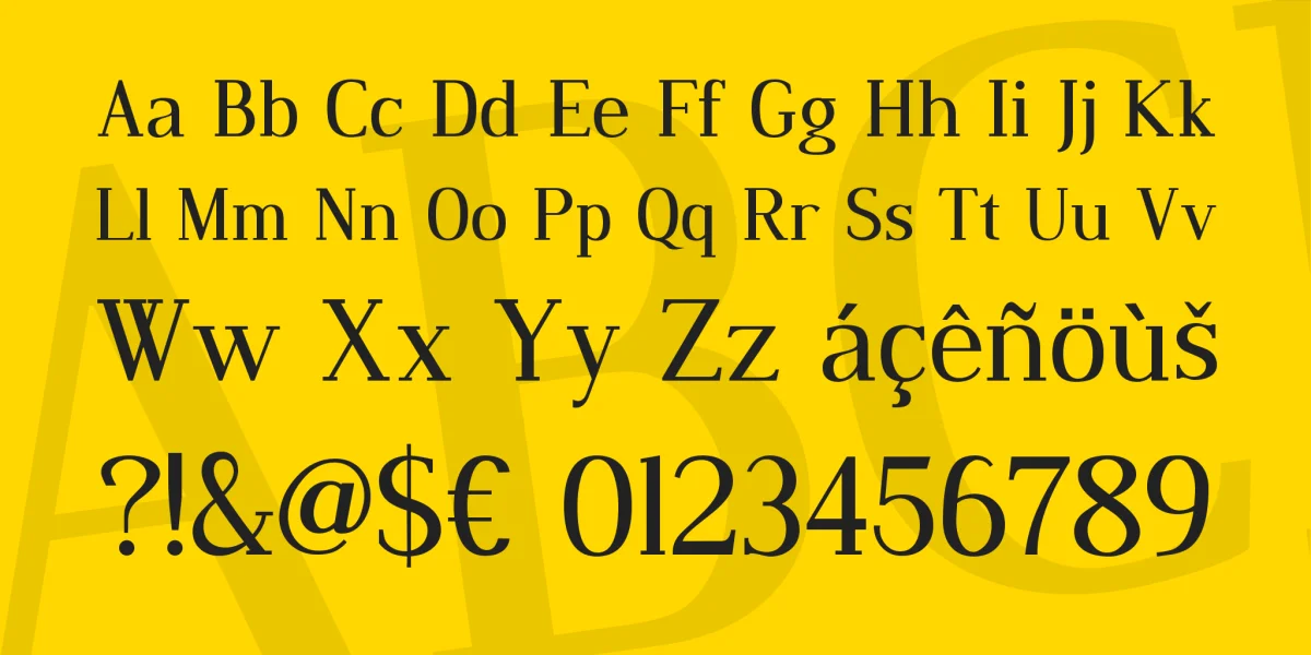 Dustismo Roman Font Family preview 4
