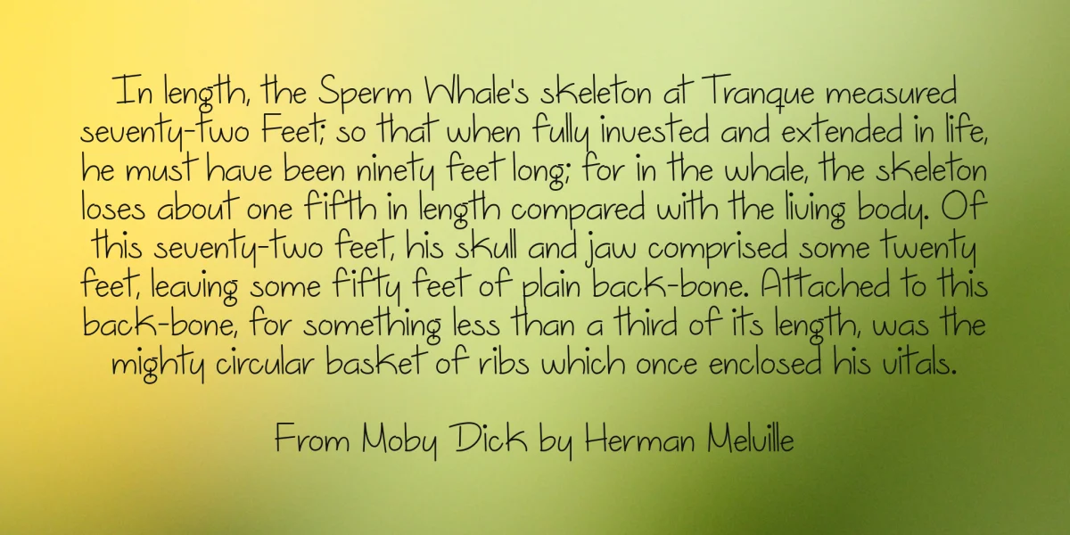 Dutch Tulips Font preview 4