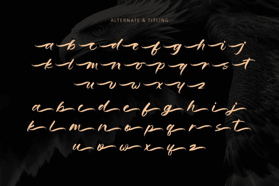 Eagle Horizon-Personal use Font preview 11