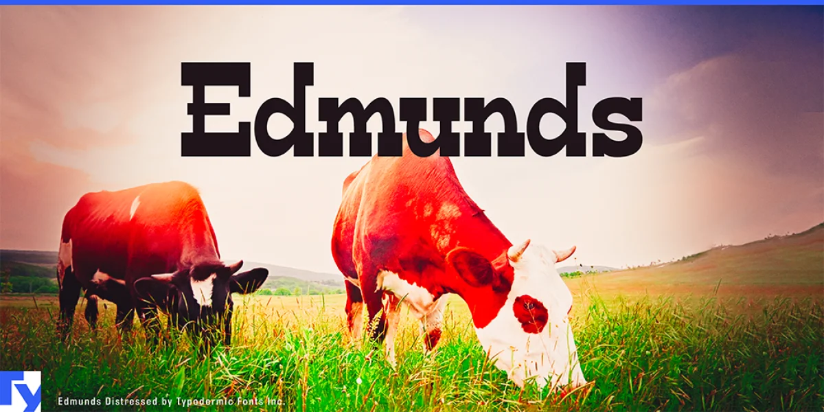 Edmunds Font Family