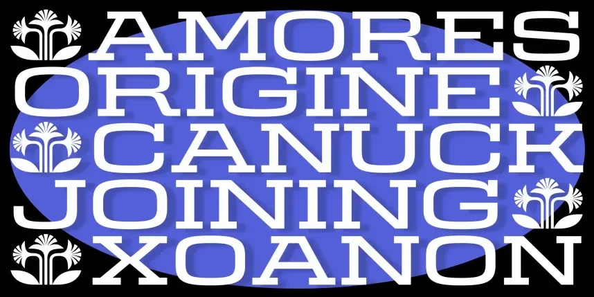 Egitto Slab Serif Font Family preview 4