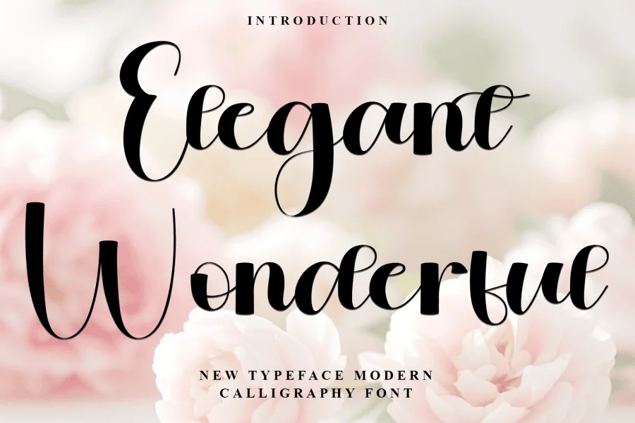 Elegant Wonderful Font