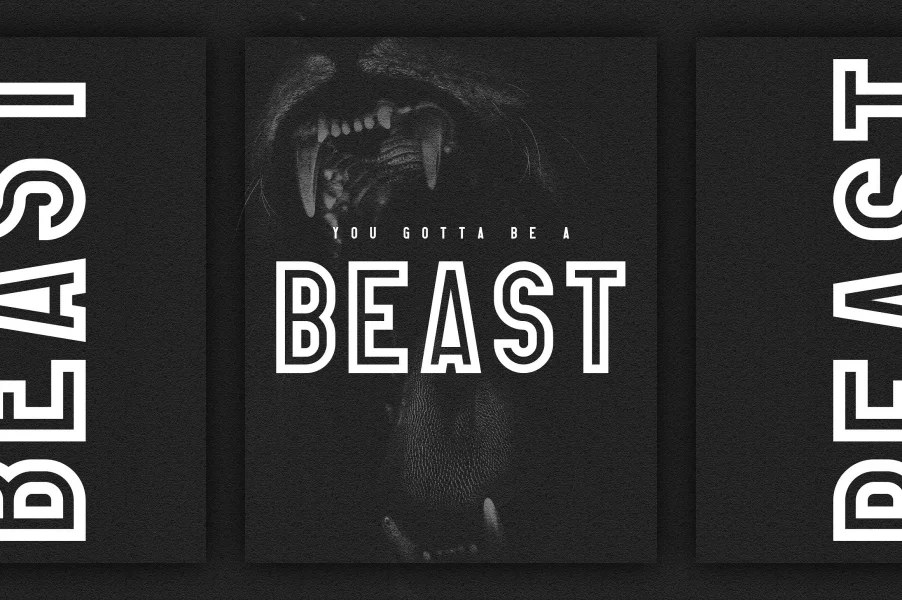 Elephant Font preview 5