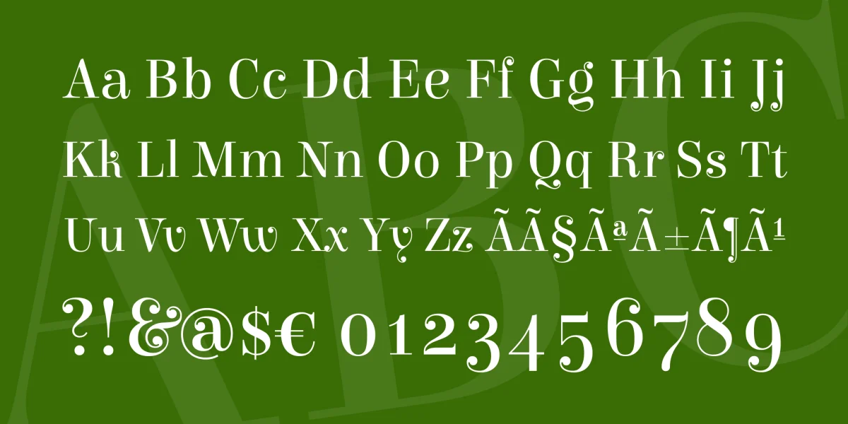 Elsie Font Family preview 3