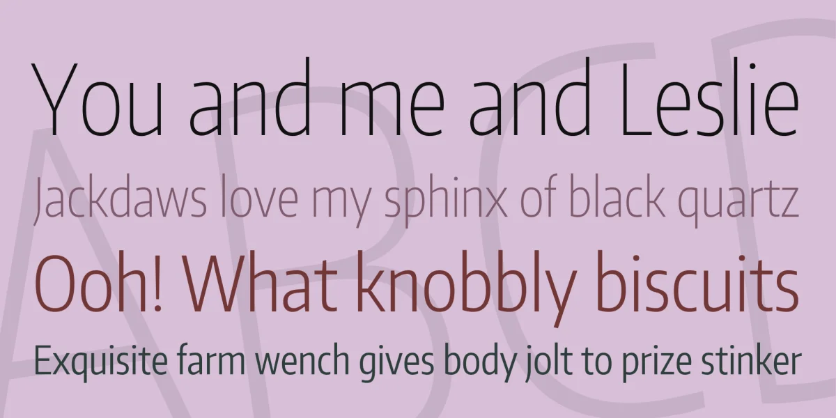 Encode Sans Font Family preview 2