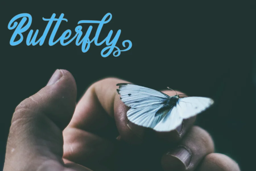Endolitta Font preview 4