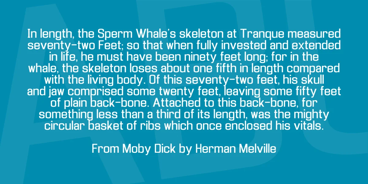 Enigmatic Font Family preview 3