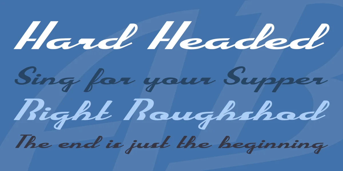 Enjoy Personal Use Font preview 3