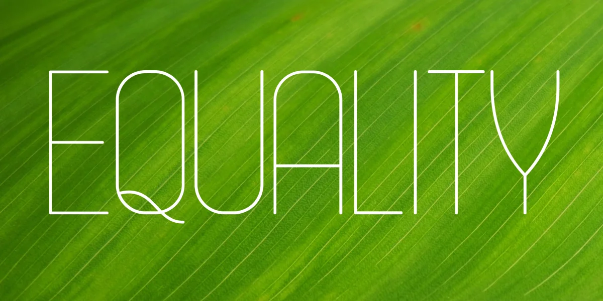 Equality Font