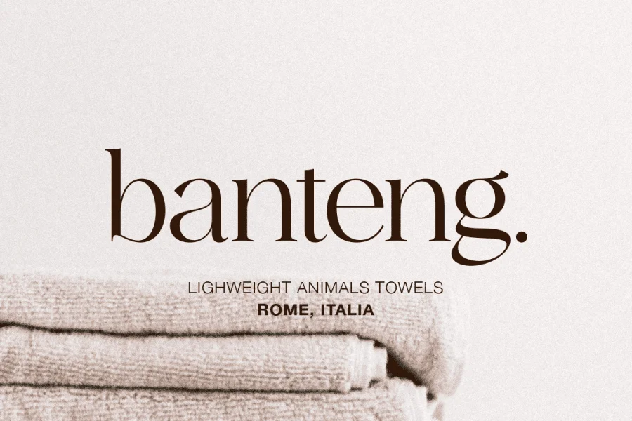 Ethereal Demo Font Family preview 8