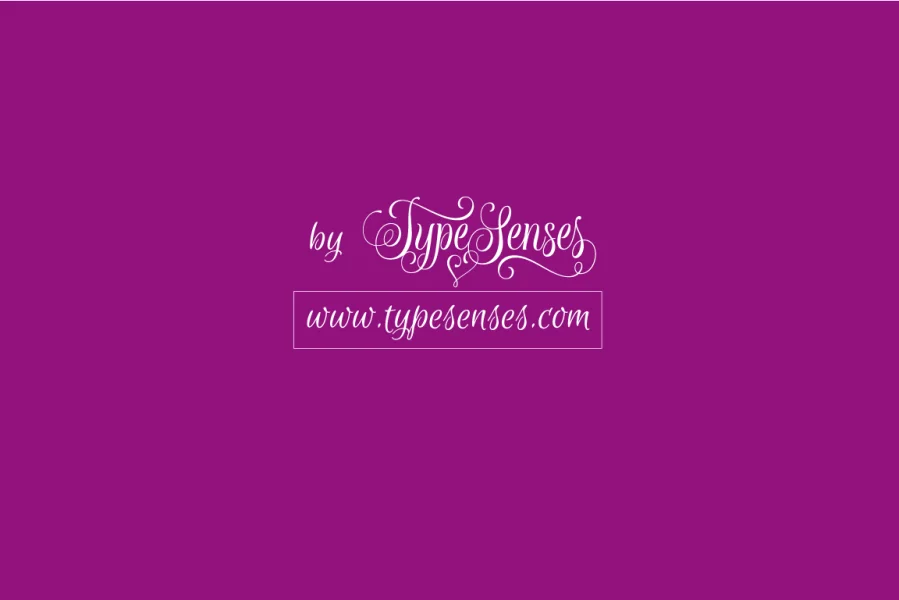 Euphoria Script Font preview 4