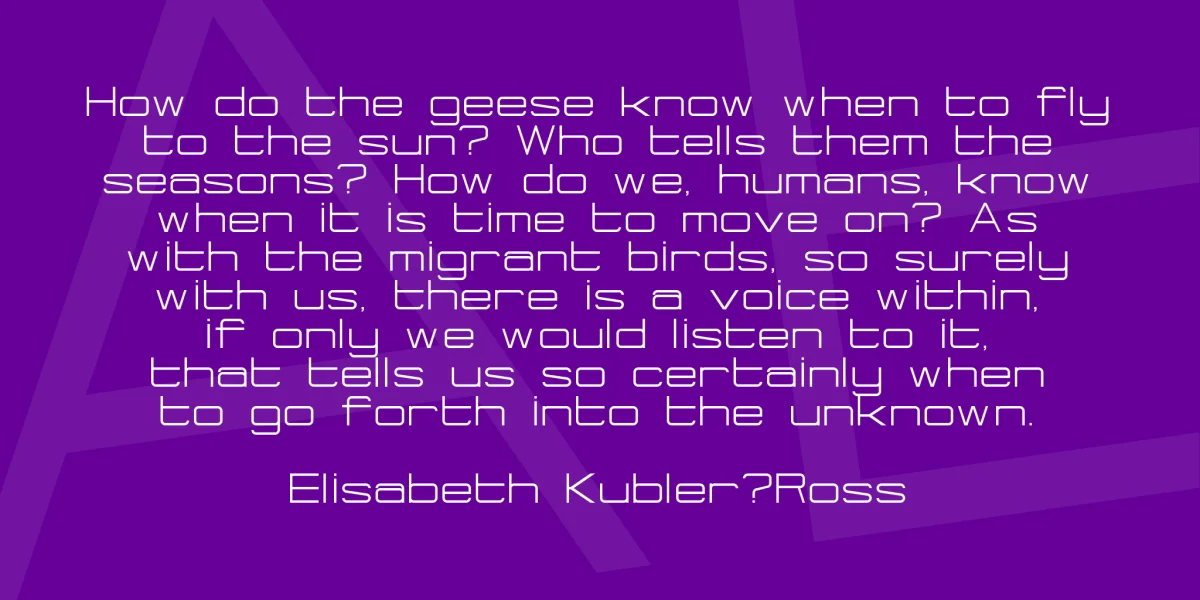 Eurosteal Font Family preview 3
